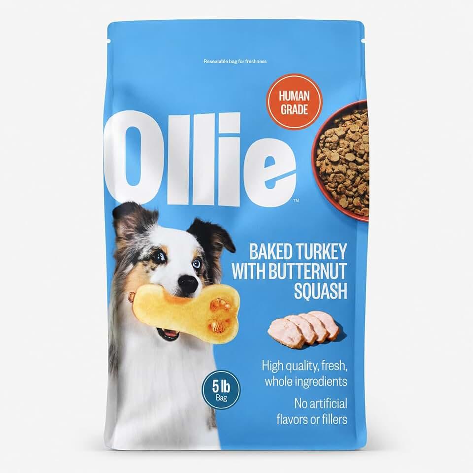 Ollie Baked Turkey &amp; Butternut Squash Dog Food, 5 lbs | Natural baked wet dog food recipe with real turkey and butte